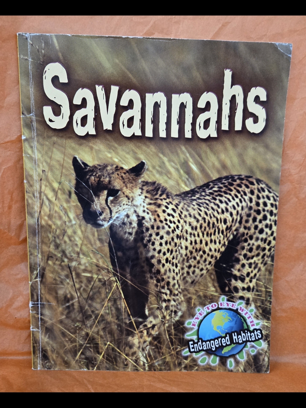 SAVANNAHS PAPERBACK BOOK BY PRECIOUS MCKENZIE